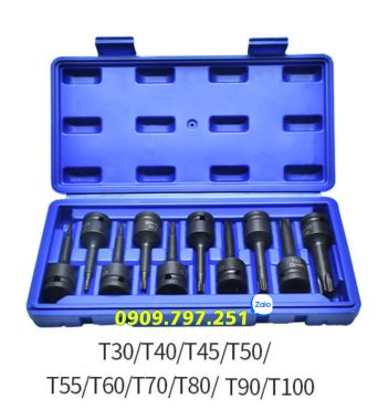 Bộ đầu tuýp lục giác sao T30 T40 T45 T50 T55 T60 T70 T80 T90 T100