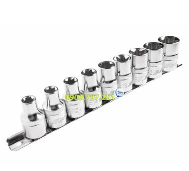 Bộ tuýp hình sao trong 1/2