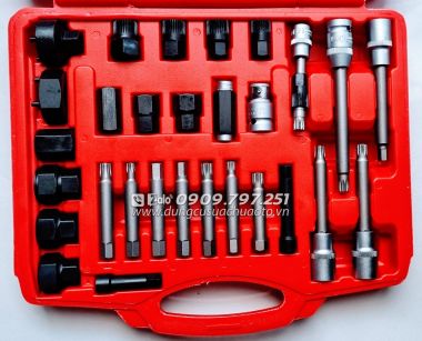 Bộ đầu tuýp tháo puli máy phát 30 chi tiết