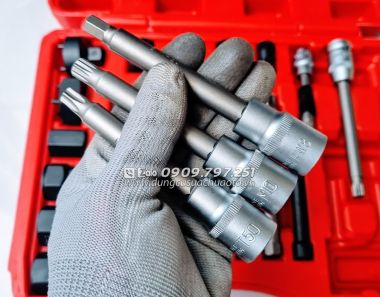 Bộ đầu tuýp tháo puli máy phát 30 chi tiết