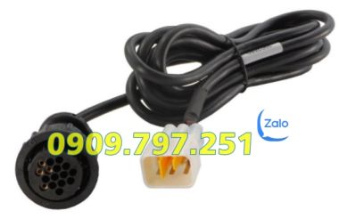 Cáp chẩn đoán xe Kawasaki Vulcan Texa 3151/AP29