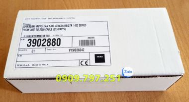 Cáp chẩn đoán xe Kawasaki Vulcan Texa 3151/AP29